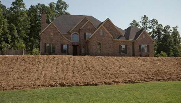 Practical visual for Architectural design is ready for construction bids when contractors can price the same scope